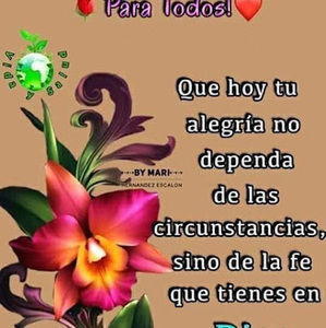 Meet your Posher, Marleny